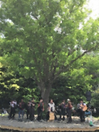 キャンペーン.jpg